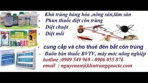 Diệt Chuột- Kiểm Soát Côn Trùng- Khử Trùng- pestking