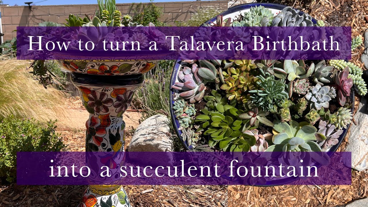 How to create Amazing Mexican Talavera Succulent Fountain       #succulent #succulents #succulentas