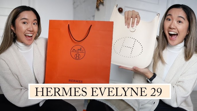 Hermes Bag Evelyne PM Mauve Sylvestre Clemence Palladium Hardware