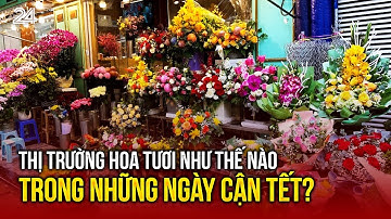 Thị trường hoa tươi như thế nào trong những ngày cận Tết? | VTV24