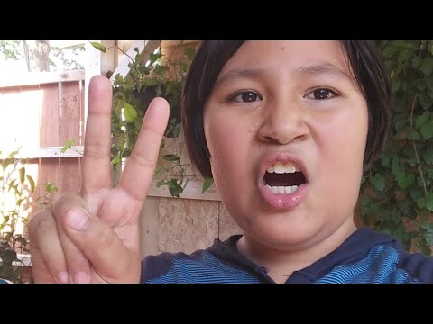LIVE STREAM WITH ABEL - YouTube