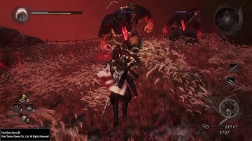 Nioh Beta - Of Withered Grass and Yokai (Twilight): Last Phase