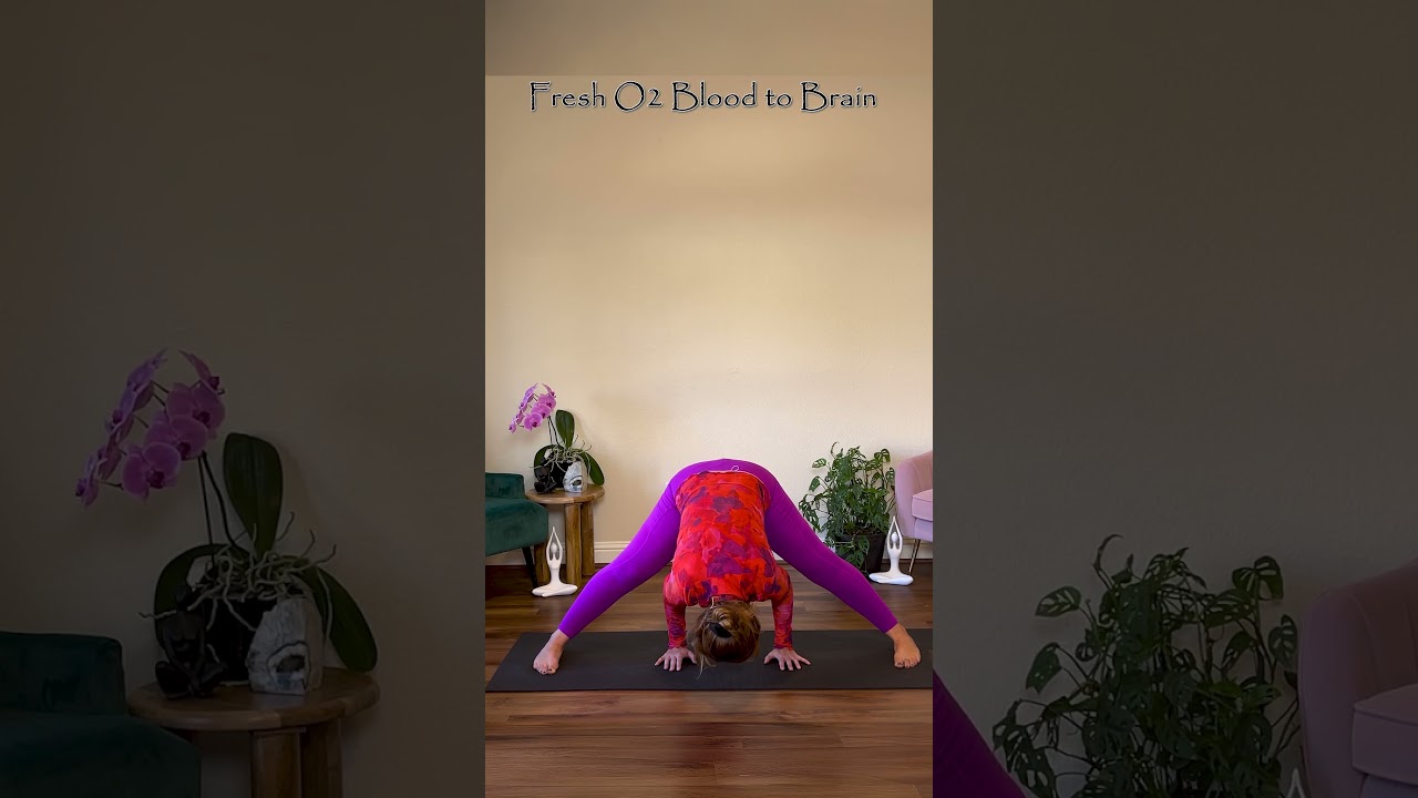 Secret to Decompressing Your Spine  NOW🤫 wide leg Forward Fold #widelegforwardfold #spinehealth