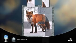 Shattered Frames - Platino