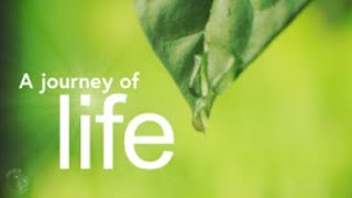 Funeral Memorial Video | Funeral Memorial Slideshow | Memorial Montage | Funeral Slideshow Video