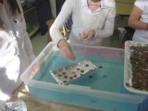 Penny Boat Challenge 2009 - YouTube