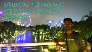 Exploring The Artificial Gardens By The Bay || Full Day Expenditure Rs300