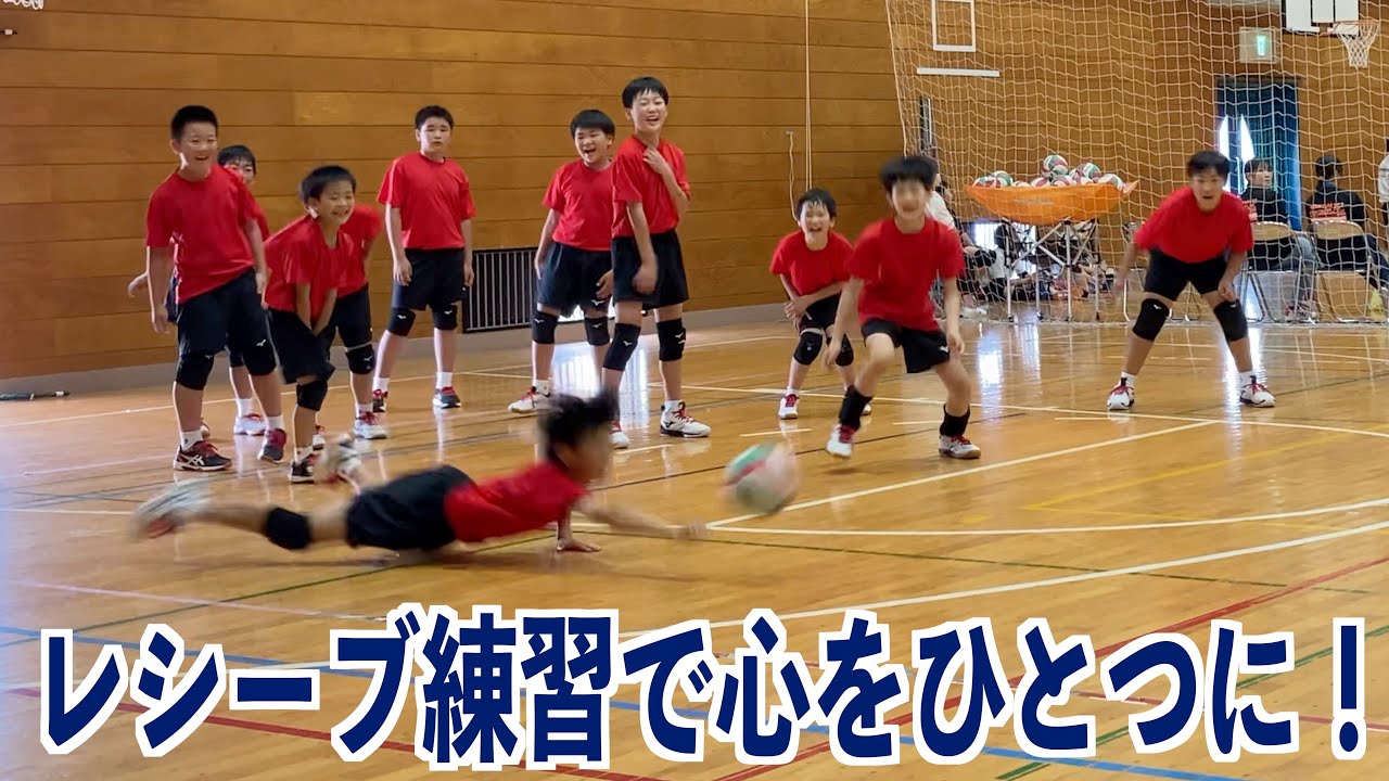 レシーブを落とさないようになる練習‼️小学生バレー教室！【バレーボール】