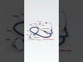 #medicalstudent #medico #youtubeshorts #youtube #neet #medicalofficer