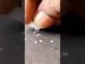 Smallest vacuum cleaner - 0.55 cm by 1.44 cm from Pamarthi Siva Naga Rao 🇮🇳