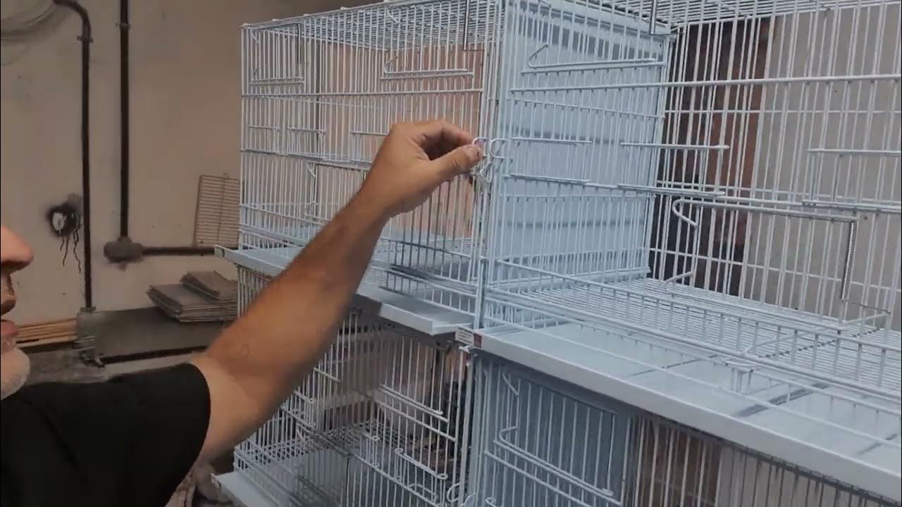 Gaiolas Fênix - Kit GR2 com 16 gaiolas de criação de pássaros - YouTube