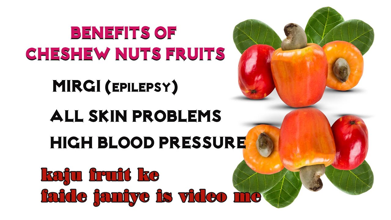 Cashew ( Kaju) benefits best for Epilepsy (mirgi) skin problem and