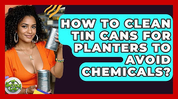 How To Clean Tin Cans For Planters To Avoid Chemicals? - The Upcycle Lab