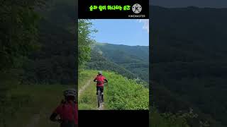 연천 고대산 임도 라이딩