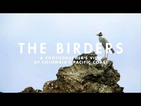 THE BIRDERS | A photographer&rsquo;s view of Colombia&rsquo;s Pacific Coast.