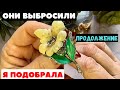 НАШЛА И ГЛАЗАМ НЕ ПОВЕРИЛА! НЕВЕРОЯТНАЯ КРАСОТА! ВИНТАЖНАЯ БИЖУТЕРИЯ, УКРАШЕНИЯ, ОБЗОР ПОКУПОК