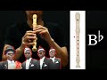 Coffin Dance (Astronomia) on Recorder - Original Key Tutorial