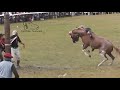 Jineteada el Ceibo Lucas Norte Clinas #carlosespindola Horses, Riding