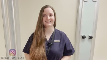 Egg collection / Egg retrieval procedure