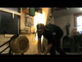 training mit alfred :)
