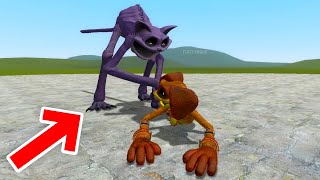 CATNAP ATTACKED DOGDAY POPPY PLAYTIME CHAPTER 3 | Garrys Mod