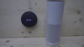 Google Home vs Amazon Alexa - Sing ABC