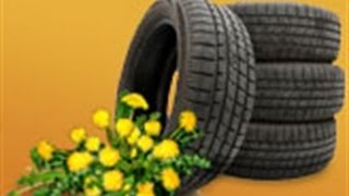 Whatever Will They Think Of Next. Dandelions Make Car Tyres?
Dandelions could soon become a cash crop—and a source of rubber for vehicle tyres Whatever Will They Think Of Next. Dandelions Make Car Tyres?