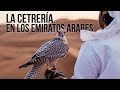 LA CETRERÍA EN LOS EMIRATOS ÁRABES | Adrián González