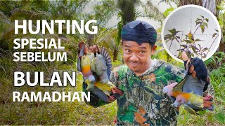 NYANGGONG BURUNG PUNAI DI PAGI HARI, NYANGGONG BURUNG PUNAI,