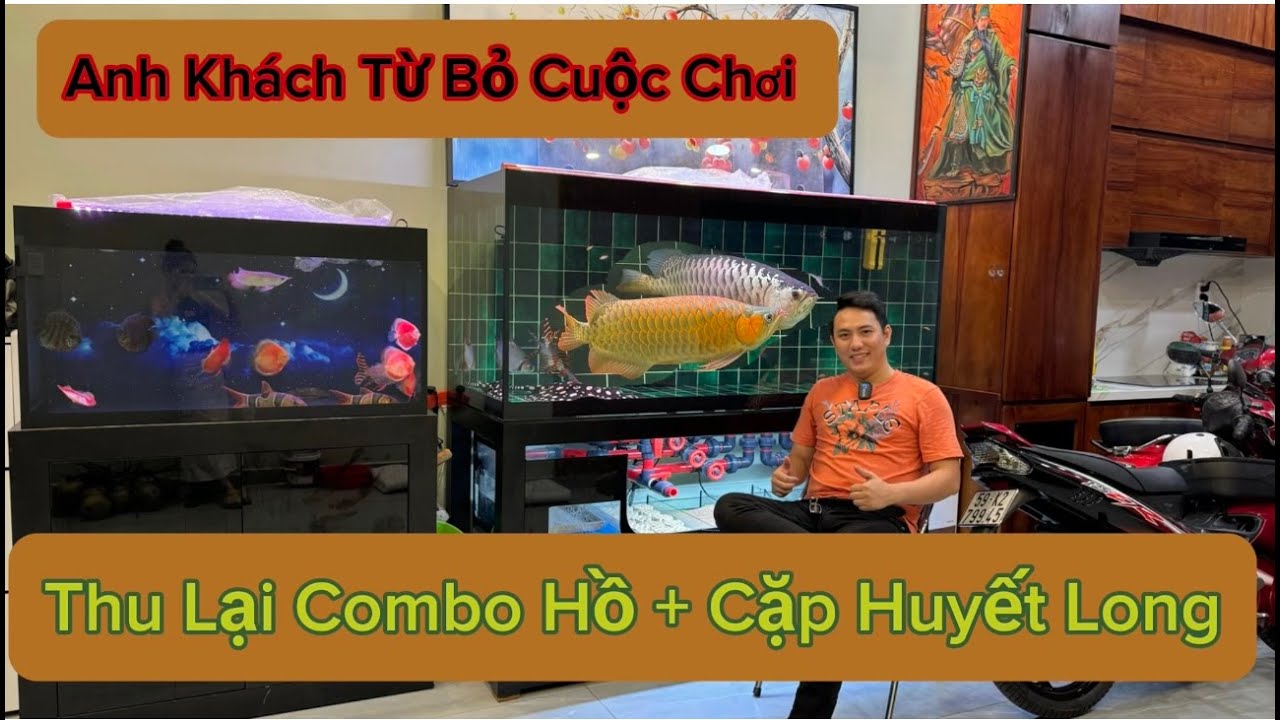 Anh Khách Dừng Cuộc Chơi - Thu Lại Combo Hồ + Cặp Huyết Long