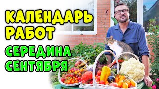 Календарь дачных работ. Середина сентября