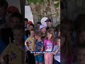 Varaždinci izabrali "stablo godine"