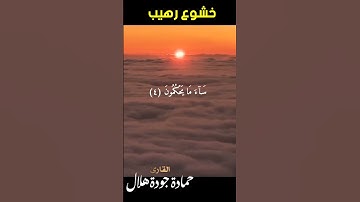 سورة العنكبوت 🌹تلاوة رائعة 🌹تريح القلوب والابصار 🌹القارئ حمادة جودة هلال