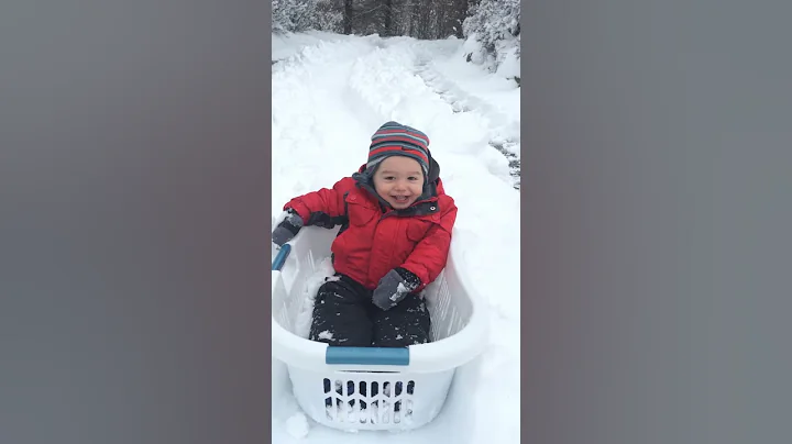 Laundry Basket Luge- Son