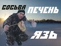 Сосьва печень язь