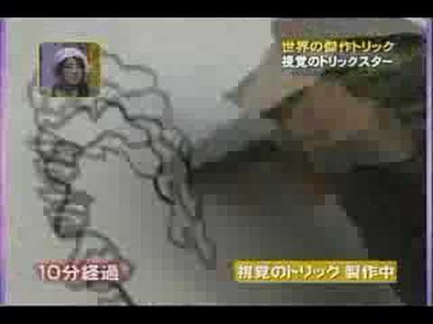 Pam Sable on Japan TV