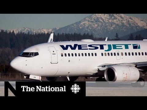 WestJet employees say company is breaking labour laws