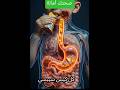 خطر الشيبسي 😱😱 ثواني تعرف تأثيره عليك وعلي اطفالك