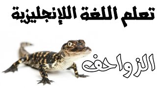 أهم الكلمات المستخدمة في اللغة الانجليزية ( حيوانات ـ زواحف )