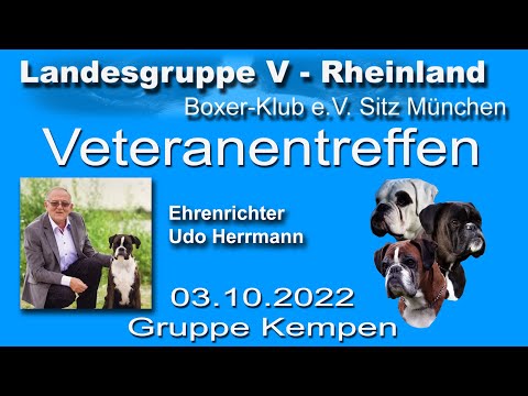 Veteranentreffen 2022 / Boxer-Klub Landesgruppe Rheinland