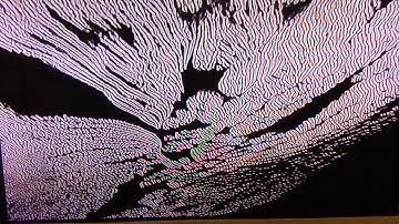 Feedback loop compilation