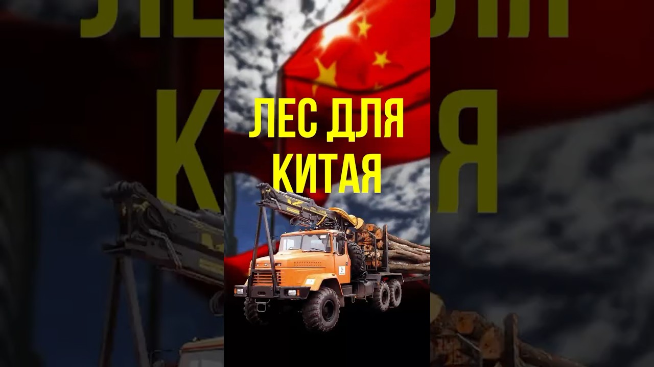 Мировой лидер по поставке леса для Китая