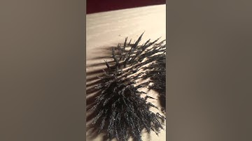 Under magnetic field - slow motion