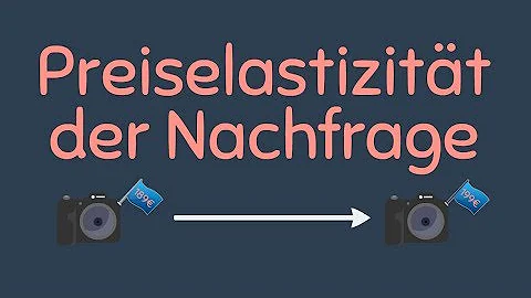 Was macht die Nachfrage Preiselastisch?