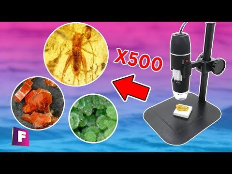 An Incredible PREHISTORIC INSECT 🔬 | Minerals and Gems Under the Microscope #2