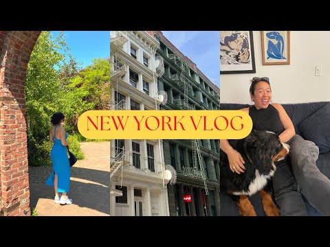 work trips, solo dinners.. new york vlog!