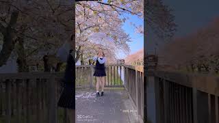 'A moment of beauty, a feeling that lasts forever — Sakura Blossom.'🌸#SakuraBlossom  #Shorts