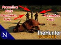 The hunter cotw  trois premire fois en savane 