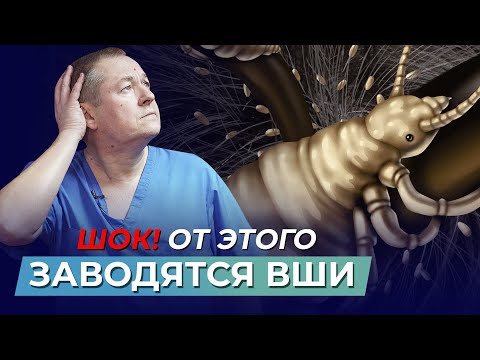 ВШИ | ВЛИЯНИЕ НА ПЕЧЕНЬ | ПРИЧИНЫ ПОЯВЛЕНИЯ | ВРЕД И ПОЛЬЗА ВШЕЙ | ШКОЛА ЗДОРОВЬЯ и доктор Божьев