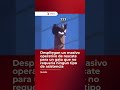 Organizaron un rescate para un gato y el felino demostró que no necesitaba ayuda. 🐱